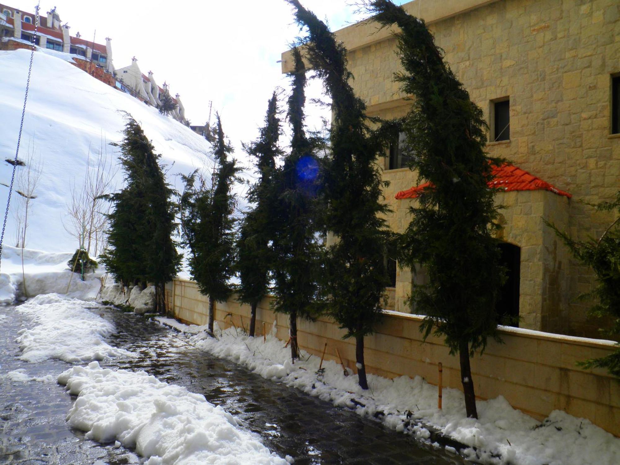 Stone Chalets Fārayyā 외부 사진